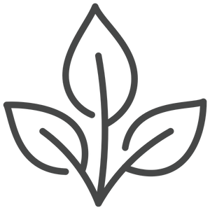 Clean & conscious formulations